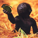 monkeynade